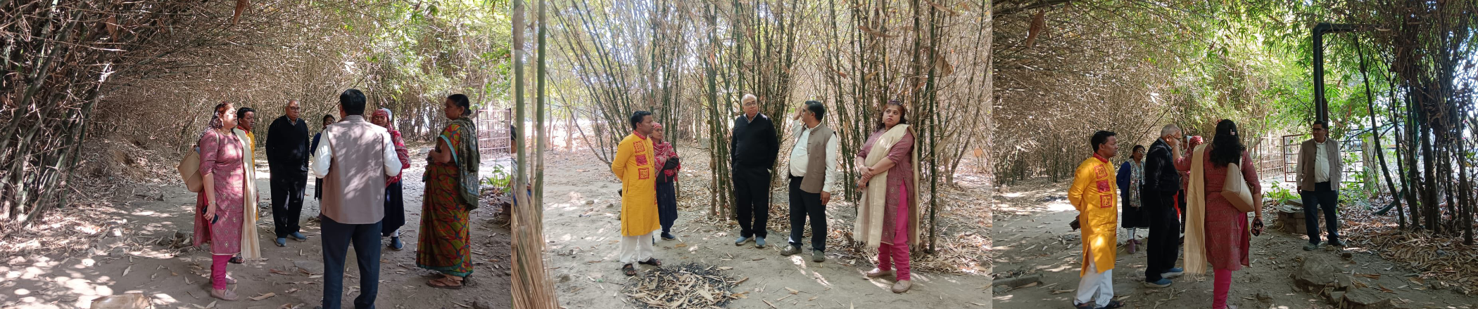 सीएसआईआर अधिकारियों द्वारा कोराडी एवं खापरखेड़ा परियोजनाओं में पर्यावरणीय पुनर्स्थापन प्रगति की समीक्षा Image