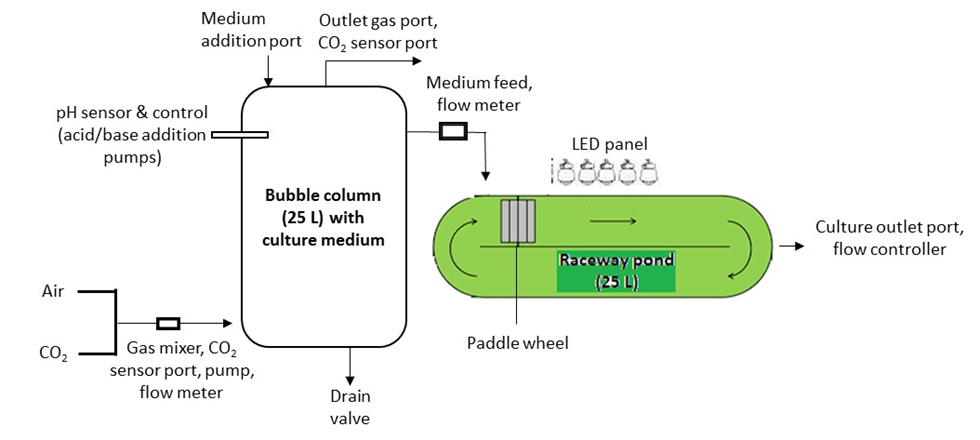 Algal reactor for CO₂ sequestration
