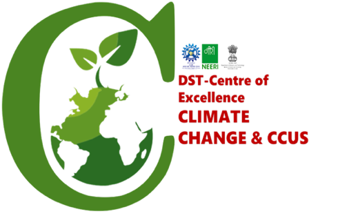 DST Centre Logo