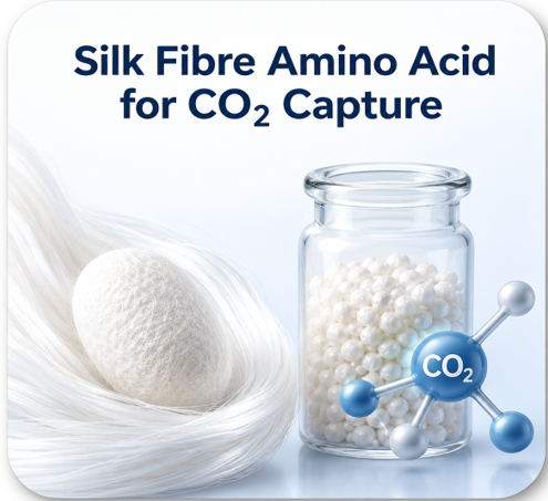 Silk Project
