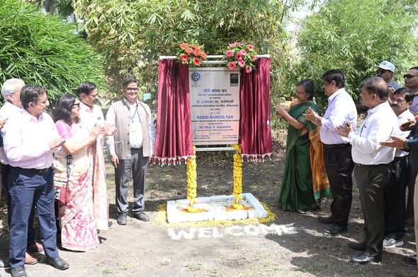 Dr Penumaka Nagababu