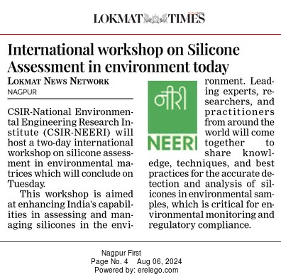 International Workshop on Silicone Assessment Image